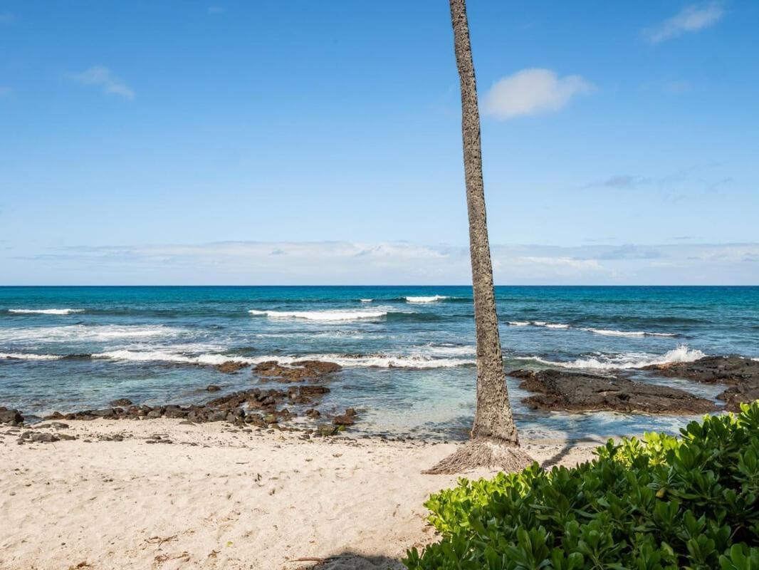 Oceanfront 1 Bedroom 2 Bathroom With Large Lanai - Kona Bali Kai 218 카일루아 코나 외부 사진